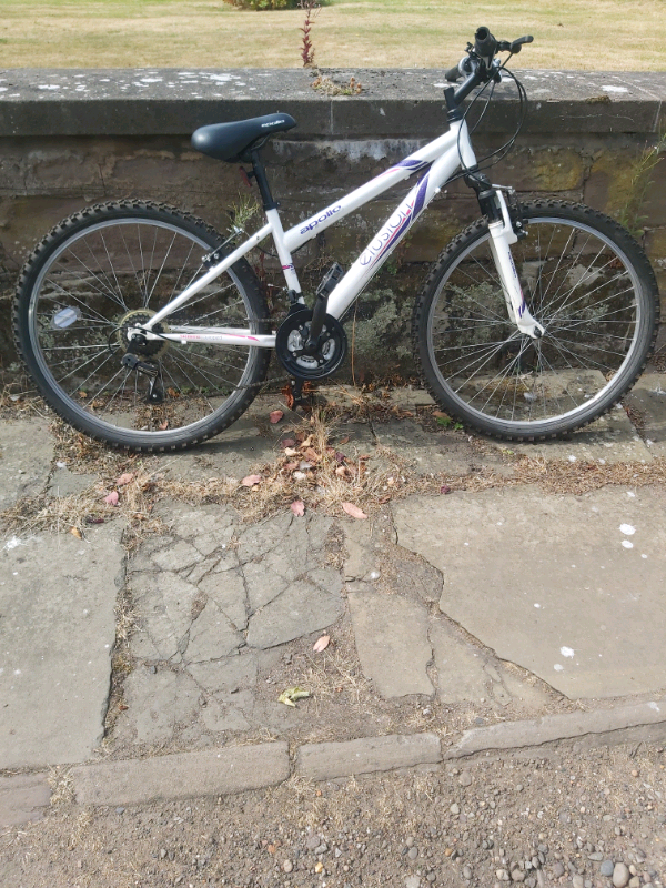 small ladies mountain bicycle 